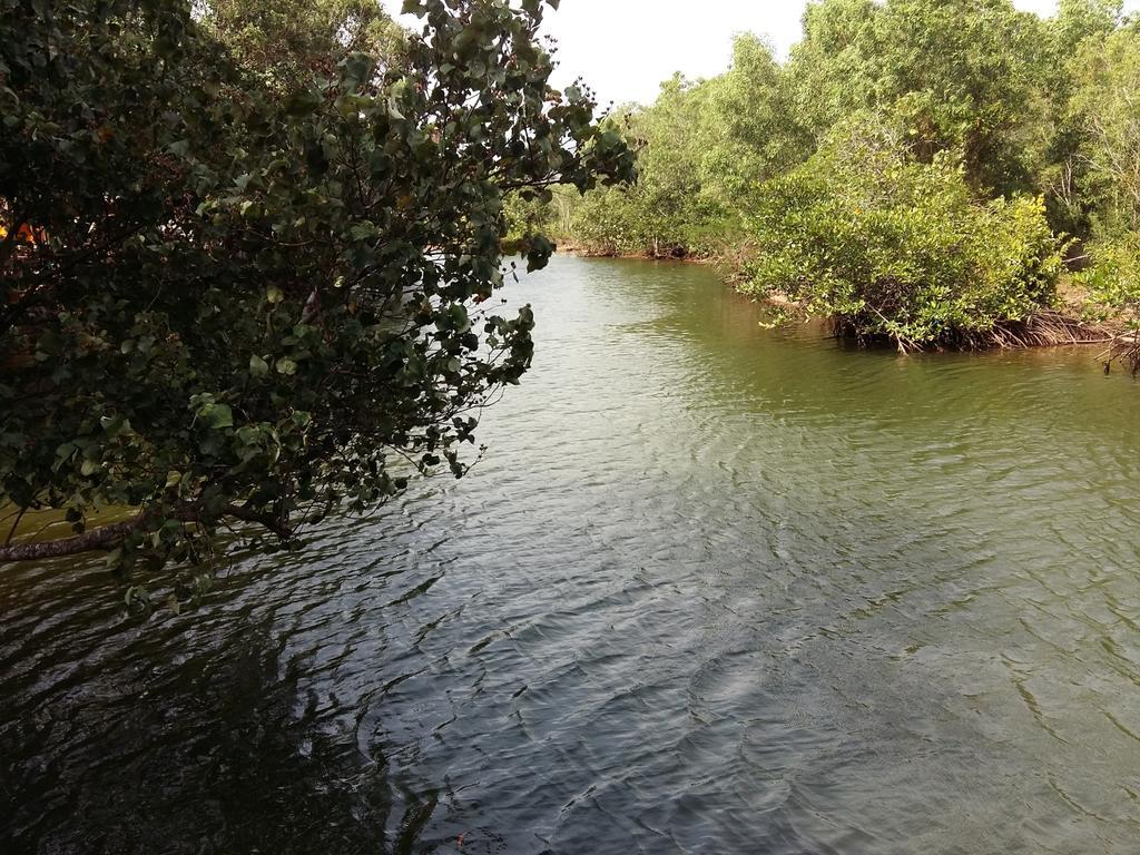 Mangroves & More @ Cambodia Sihanoukville Exterior photo